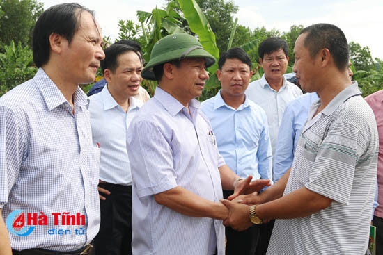 Bí thư Tỉnh uỷ: Sản xuất phải là gốc của xây dựng nông thôn mới ảnh 5 bi thu tinh uy san xuat phai la goc cua xay dung nong thon moi