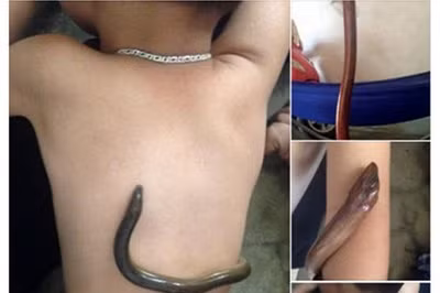 chua benh theo bac si google nguy hiem