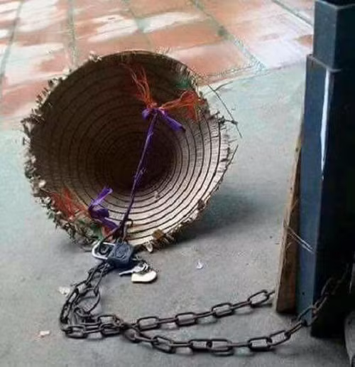 10 anh hai hot nhat facebook trong ngay