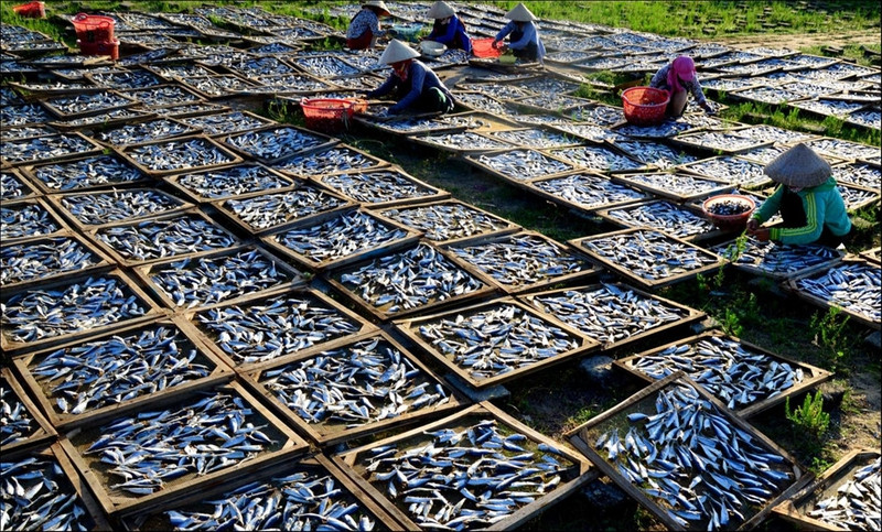 di doc viet nam tham nhung lang chai ven bien