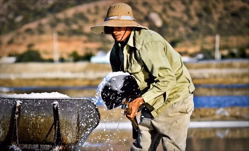 dau an ninh thuan tren dai dat hinh chu s