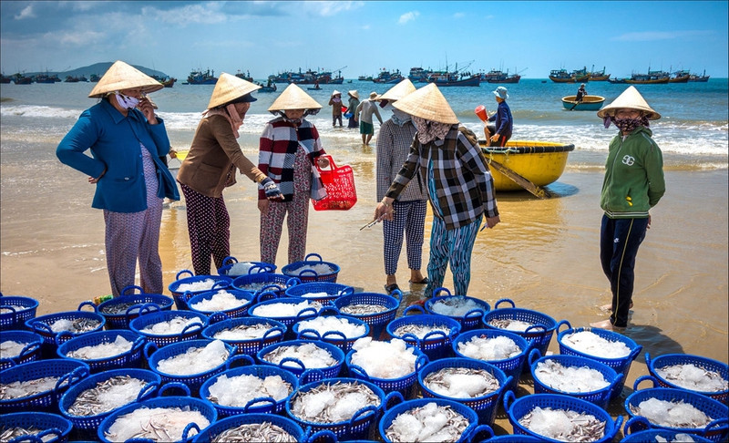 di doc viet nam tham nhung lang chai ven bien