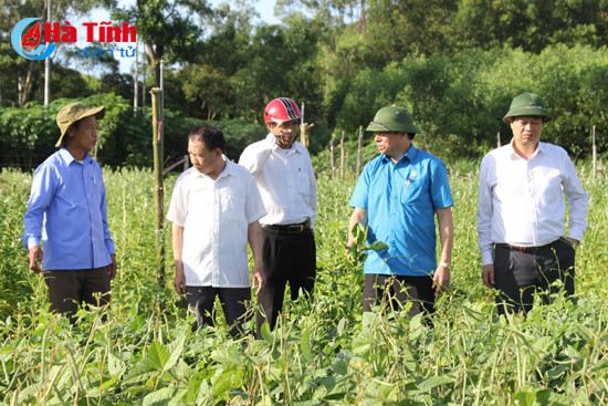 ldld tinh tich cuc ho tro xay dung ntm o cam xuyen