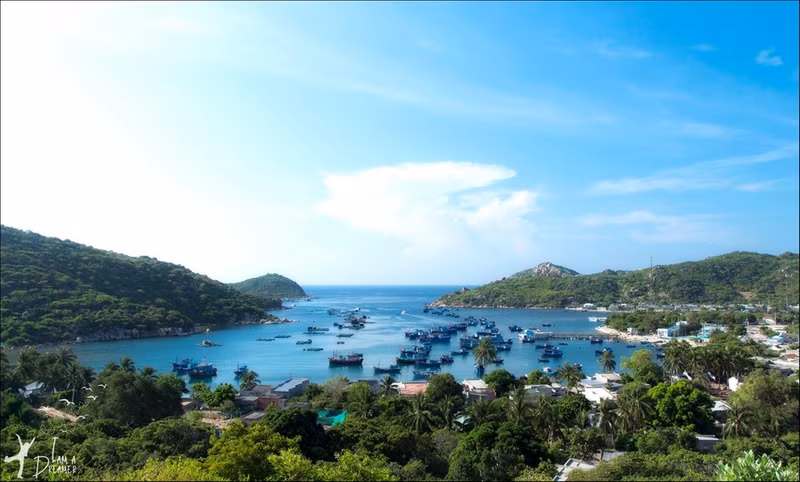 dau an ninh thuan tren dai dat hinh chu s