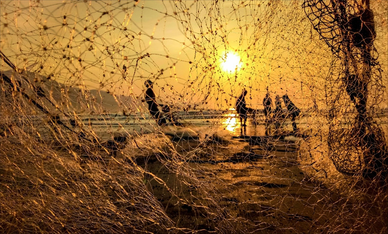 di doc viet nam tham nhung lang chai ven bien