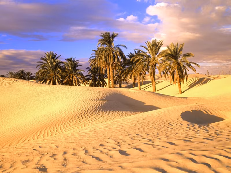 nhung su that bat ngo ve sa mac sahara