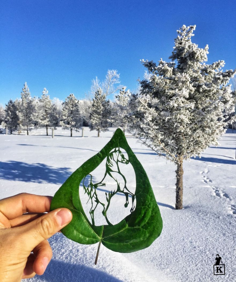 ngam cac tac pham nghe thuat cham khac tren la cay cuc doc dao