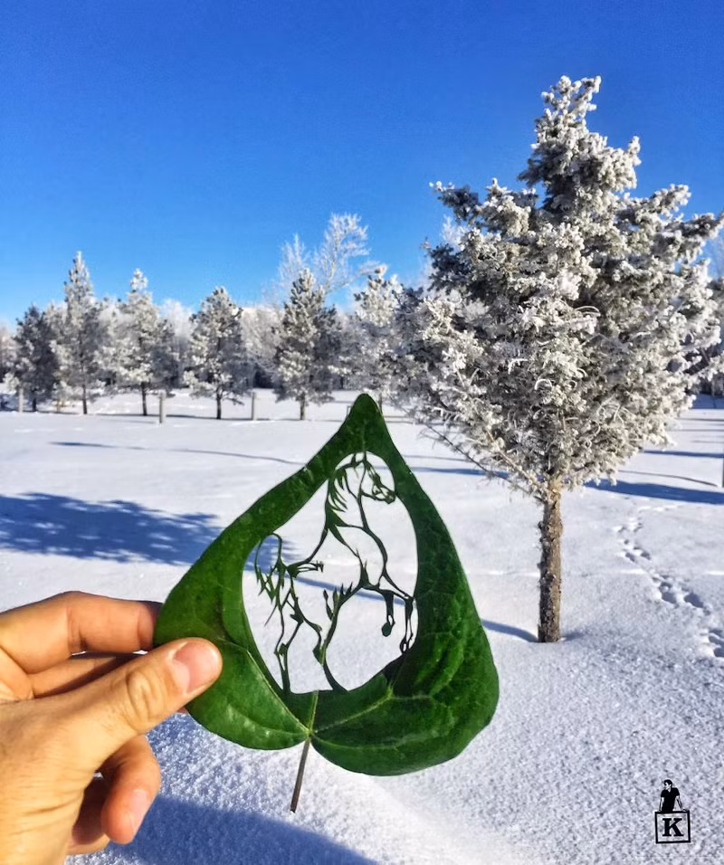 ngam cac tac pham nghe thuat cham khac tren la cay cuc doc dao