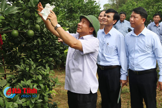 Bí thư Tỉnh uỷ: Sản xuất phải là gốc của xây dựng nông thôn mới ảnh 3 bi thu tinh uy san xuat phai la goc cua xay dung nong thon moi