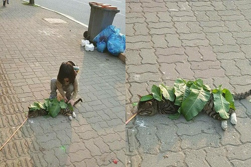 10 anh hai hot nhat facebook trong ngay