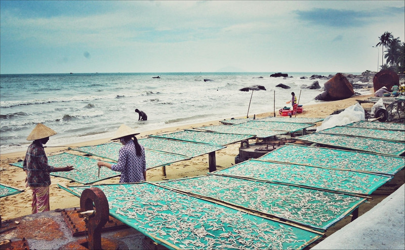 di doc viet nam tham nhung lang chai ven bien