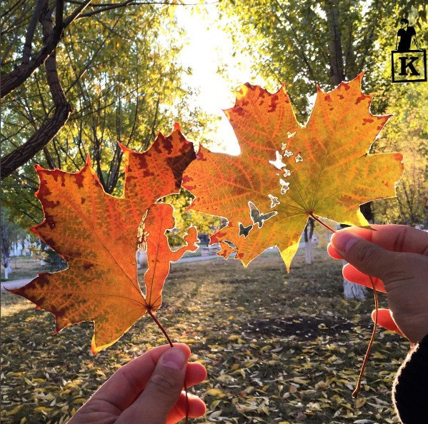 ngam cac tac pham nghe thuat cham khac tren la cay cuc doc dao