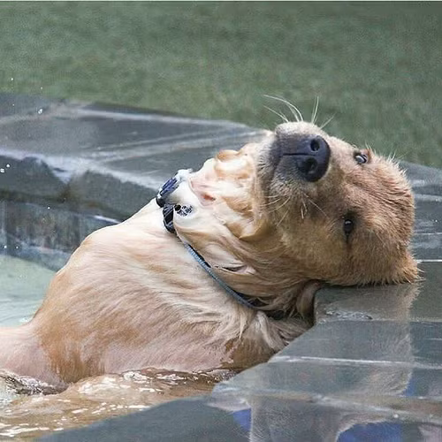 10 anh hai hot nhat facebook trong ngay