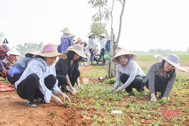 Gần 200 hội viên phụ nữ giúp người dân Gia Hanh xây dựng nông thôn mới