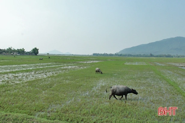 Thiếu nền tảng, Thạch Đỉnh “ì ạch” xây dựng nông thôn mới