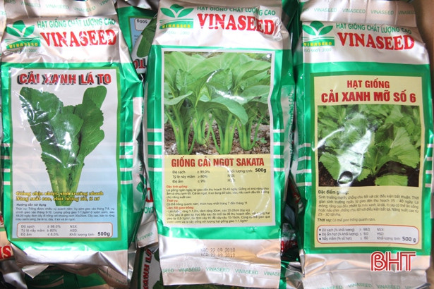 Hà Tĩnh tiếp nhận hơn 19 tấn giống cây trồng vụ đông