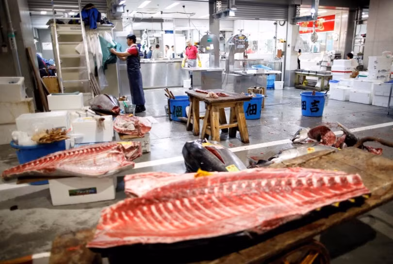 Chợ cá lớn nhất thế giới tổ chức phiên đấu giá đầu tiên tại địa điểm mới