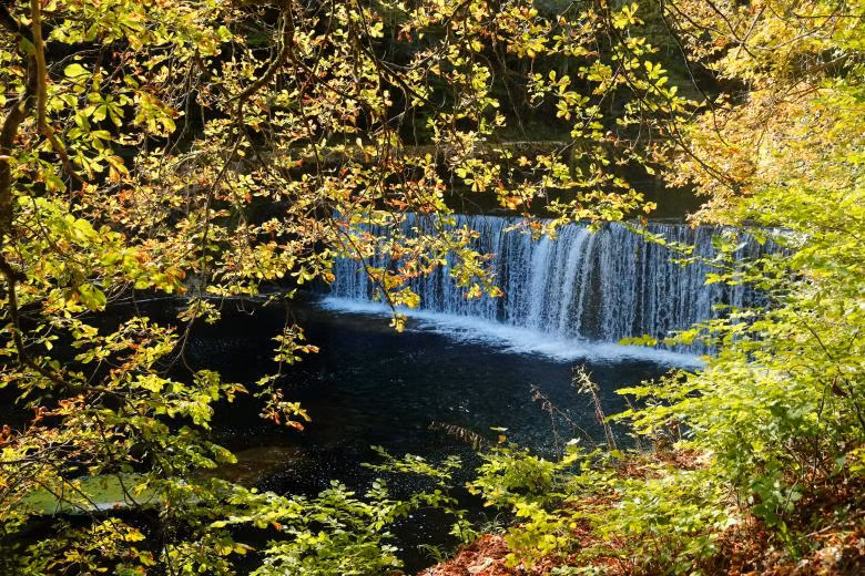 Sắc thu quyến rũ ở khắp nơi trên thế giới