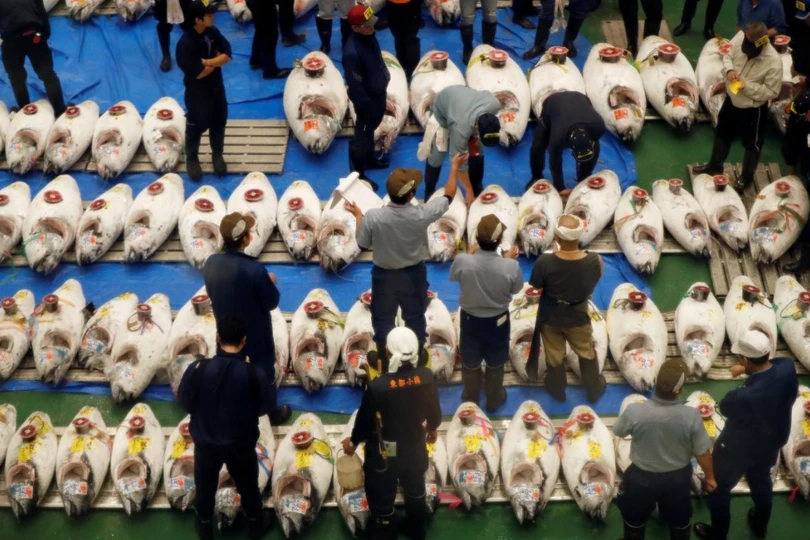 Chợ cá lớn nhất thế giới tổ chức phiên đấu giá đầu tiên tại địa điểm mới