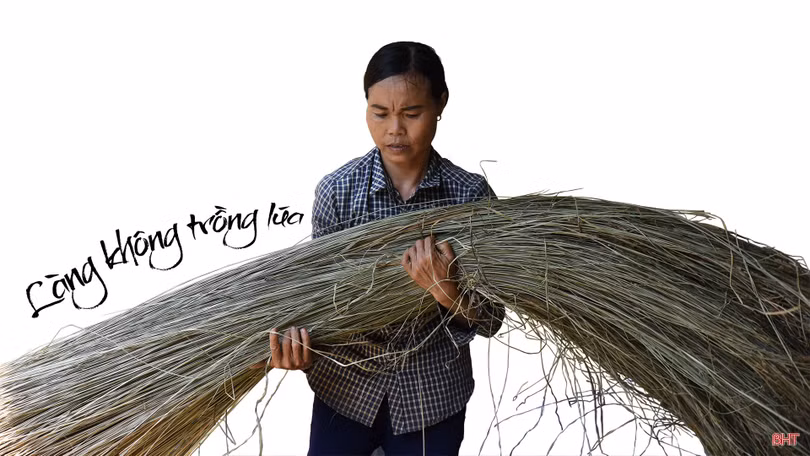 Phác thảo Hồng Lam…