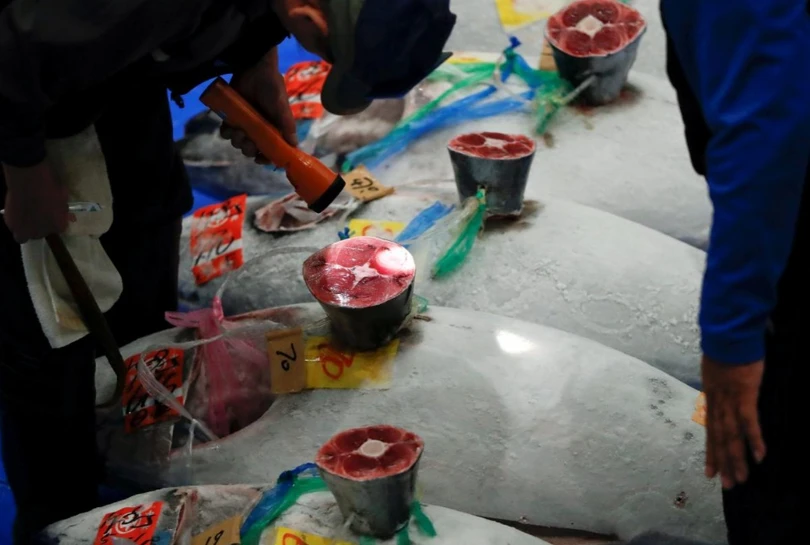 Chợ cá lớn nhất thế giới tổ chức phiên đấu giá đầu tiên tại địa điểm mới