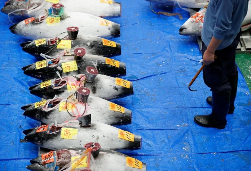 Chợ cá lớn nhất thế giới tổ chức phiên đấu giá đầu tiên tại địa điểm mới