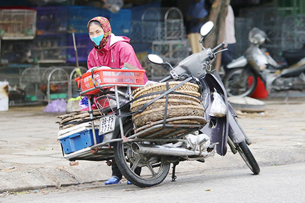 Người dân Hà Tĩnh đón gió lạnh đầu mùa