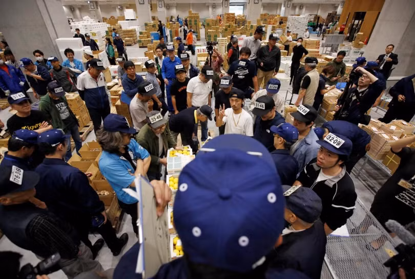 Chợ cá lớn nhất thế giới tổ chức phiên đấu giá đầu tiên tại địa điểm mới