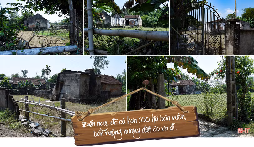 Phác thảo Hồng Lam…