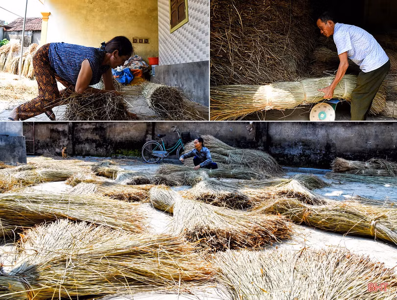 Phác thảo Hồng Lam…