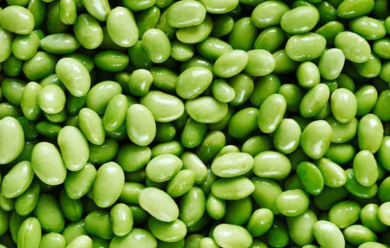 10 thực phẩm tốt nhất cho da trong mùa đông