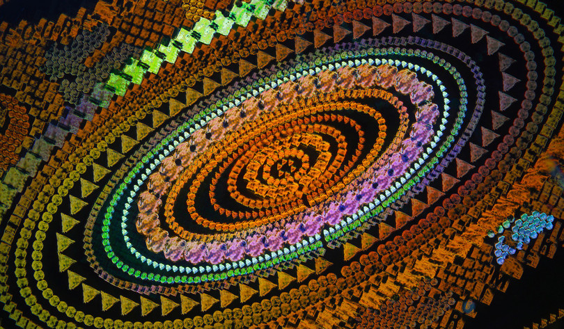 Ngắm những bức ảnh chụp dưới kính hiển vi đẹp nhất năm 2018