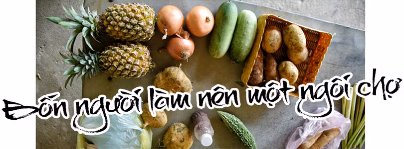 Phác thảo Hồng Lam…