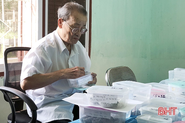 Phát hiện 15kg tiền cổ thời Lê Sơ ở Hà Tĩnh