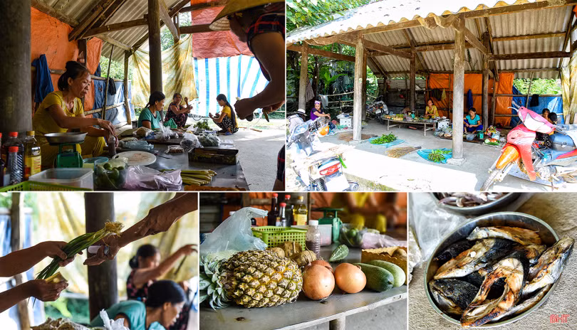 Phác thảo Hồng Lam…