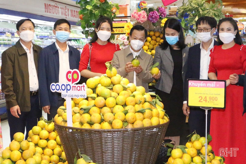 Trên 90% sản lượng cam Vũ Quang đã được tiêu thụ