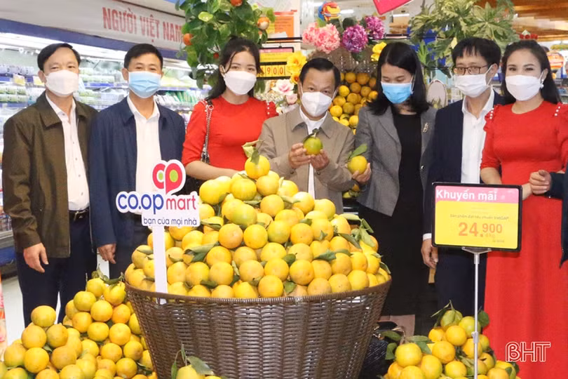 Trên 90% sản lượng cam Vũ Quang đã được tiêu thụ