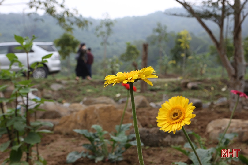 Xuân sớm trên những điểm du lịch hấp dẫn ở Hà Tĩnh