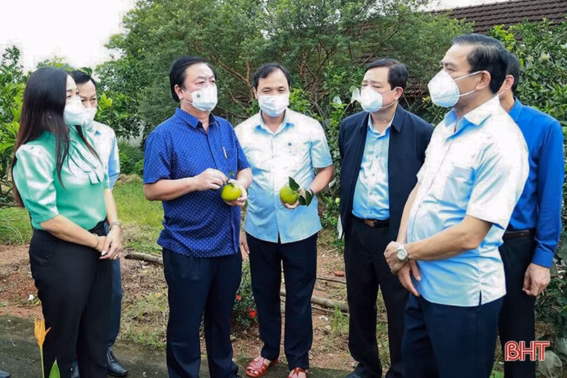 Từng tổ liên gia, hộ gia đình ở Vũ Quang linh hoạt xây dựng nông thôn mới