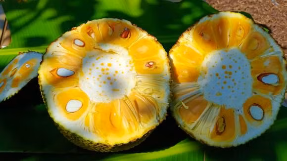 Mít rất ngon nhưng nên ghi nhớ vài lưu ý để không ảnh hưởng đến sức khỏe