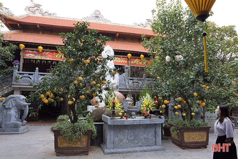 Xuân sớm trên những điểm du lịch hấp dẫn ở Hà Tĩnh