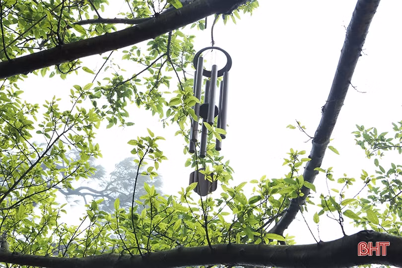 Xuân sớm trên những điểm du lịch hấp dẫn ở Hà Tĩnh