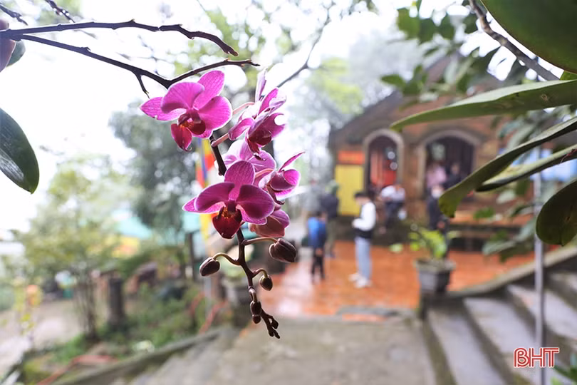 Xuân sớm trên những điểm du lịch hấp dẫn ở Hà Tĩnh