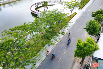 Những khoảng xanh giữa ngày hè 