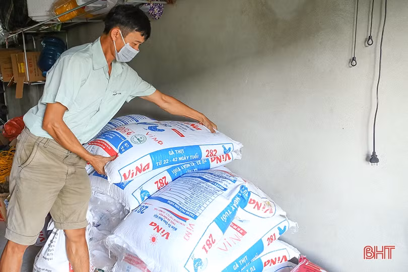 Giá thịt lợn tăng đột biến, người chăn nuôi Hà Tĩnh mừng nhưng chưa hết lo