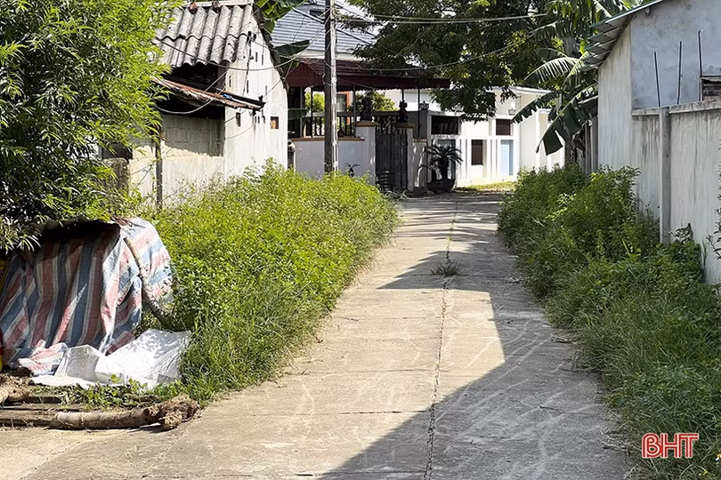 Cần sớm đầu tư xây dựng tuyến đường nội thị nối tổ dân phố 2-3 ở thị trấn Đức Thọ