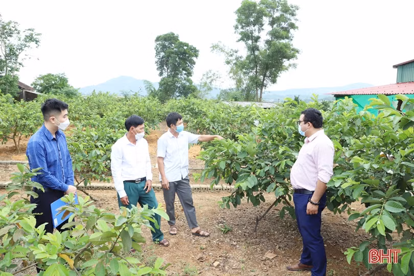 Phòng giao dịch Ngân hàng CSXH Kỳ Anh lọt tốp 15 huyện có dư nợ lớn nhất cả nước