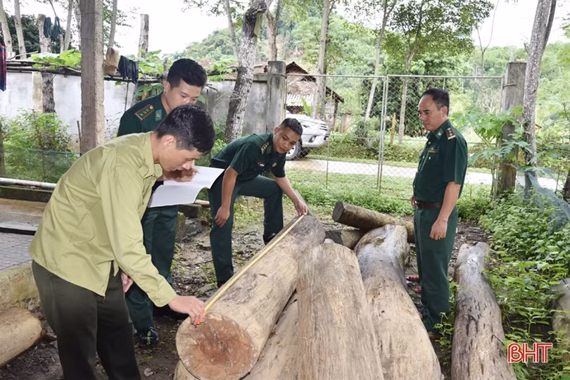 Bộ đội Biên phòng Hà Tĩnh gắn tuần tra bảo vệ biên giới với bảo vệ rừng