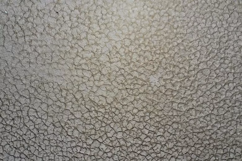 Hình ảnh hạn hán nghiêm trọng ở nhiều nơi trên thế giới