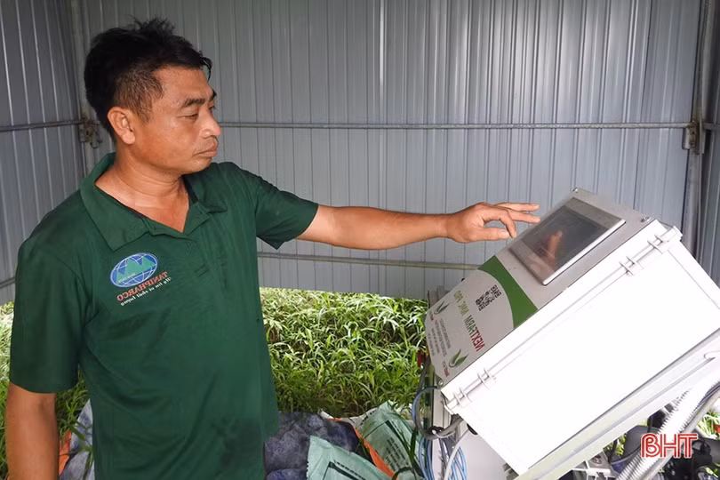 Vợ chồng miền núi Hà Tĩnh tưới cây, chăm cam qua smartphone